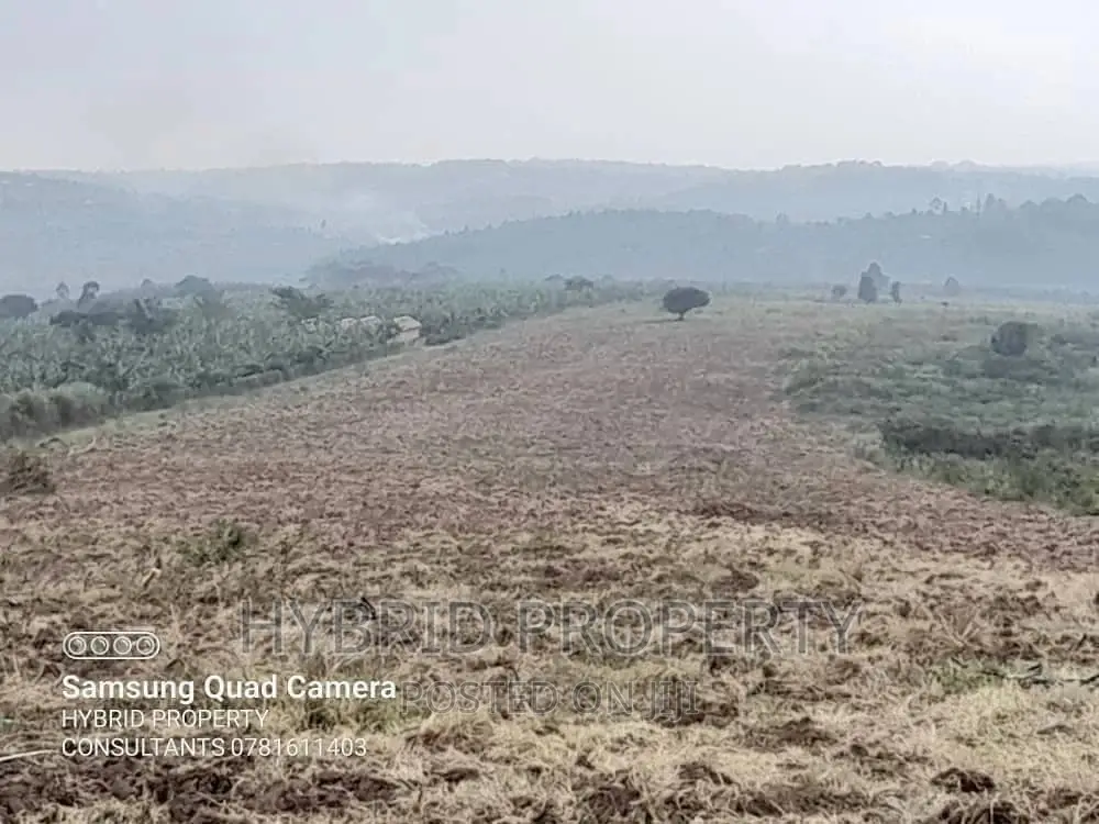 Fertile 30acres of Land for Sale at Bujjuko~Nkambo Along Mityana Rd. in Muduma
