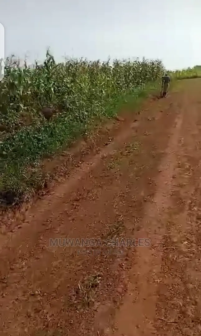 10acres of Land for Sale in Luwero in Central Division