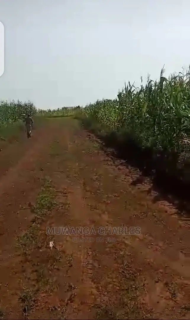 10acres of Land for Sale in Luwero in Central Division