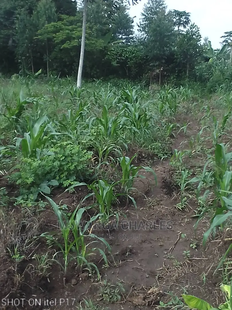 1.5acre of Land Available for Sale in Luwero in Central Division