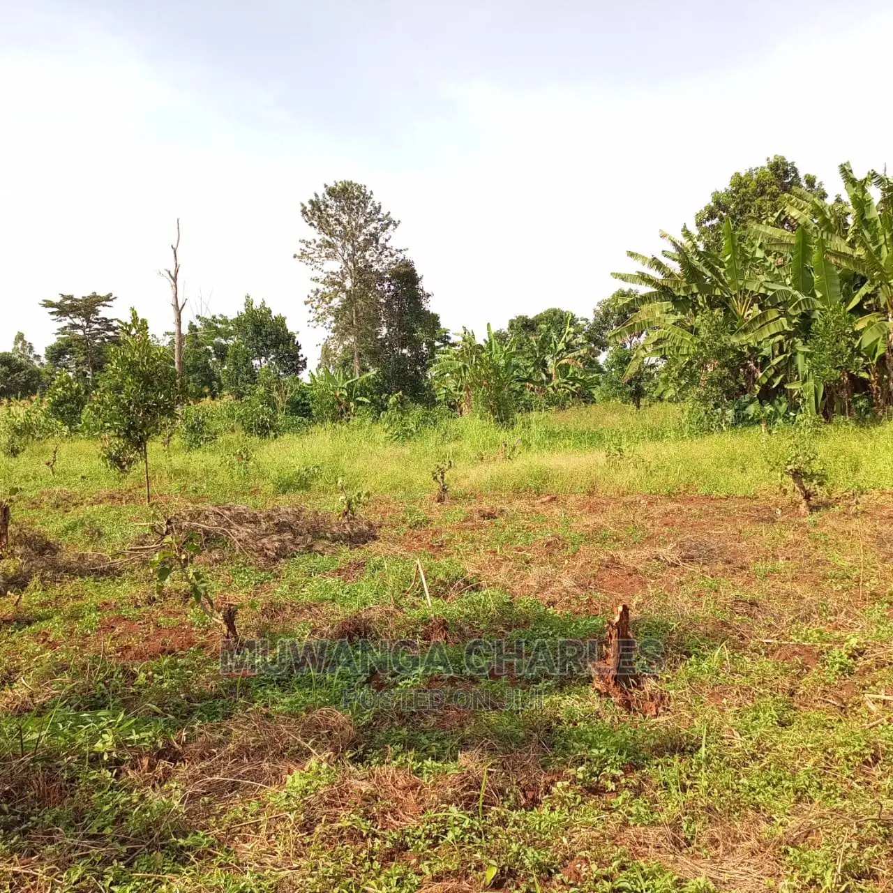 Plots for Sale in Gayaza Bugema in Central Division