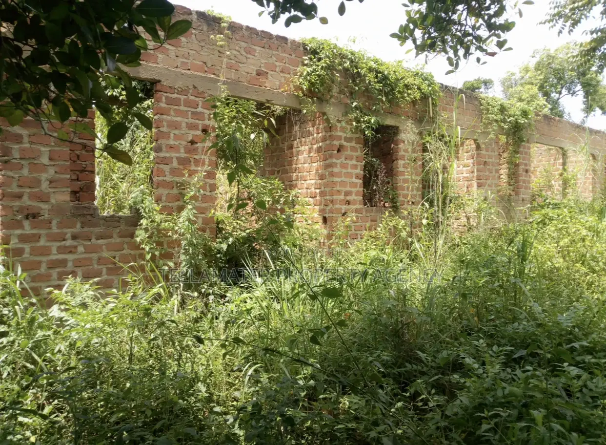 Plot With Rooms/Hostels for Sale at Ku Main Branch Luweero in Luwero / Luwero