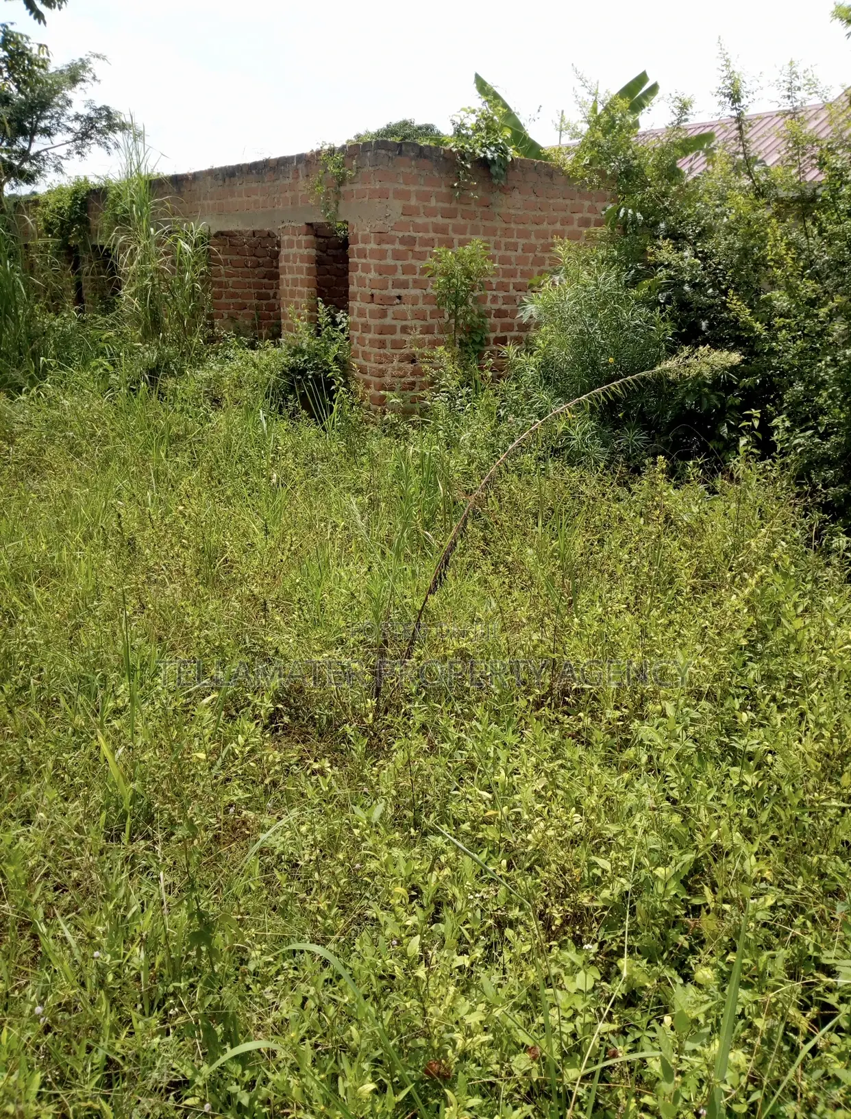 Plot With Rooms/Hostels for Sale at Ku Main Branch Luweero in Luwero / Luwero