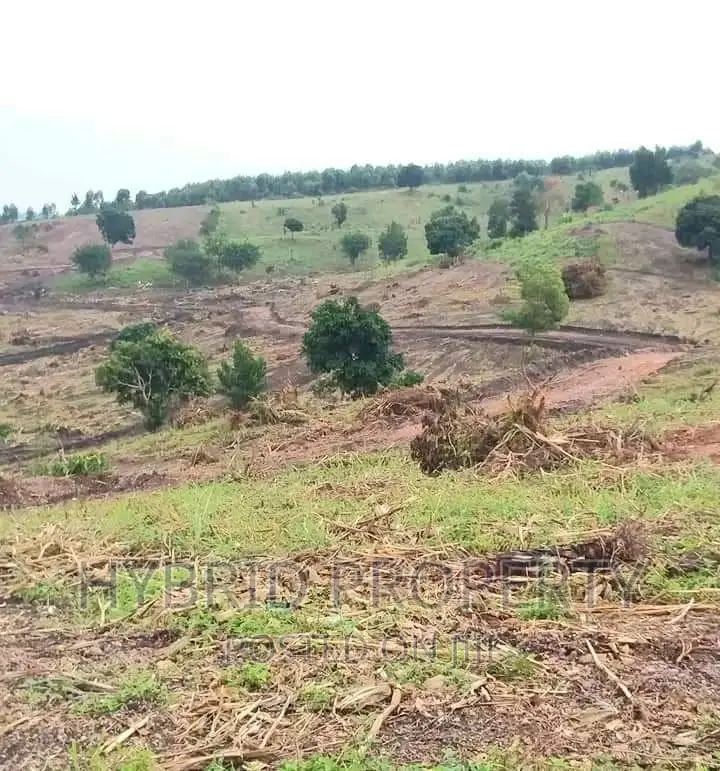 Prime Plots for at Namayumba~Naguru Land Estate~Hoima Rd IV. in Namayumba