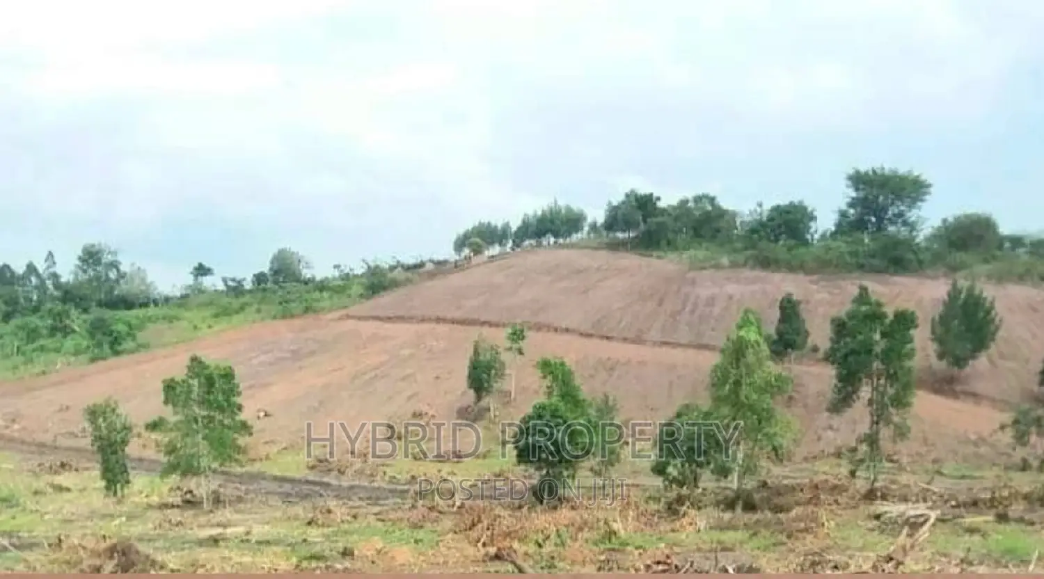 Prime Plots for at Namayumba~Naguru Land Estate~Hoima Rd IV. in Namayumba