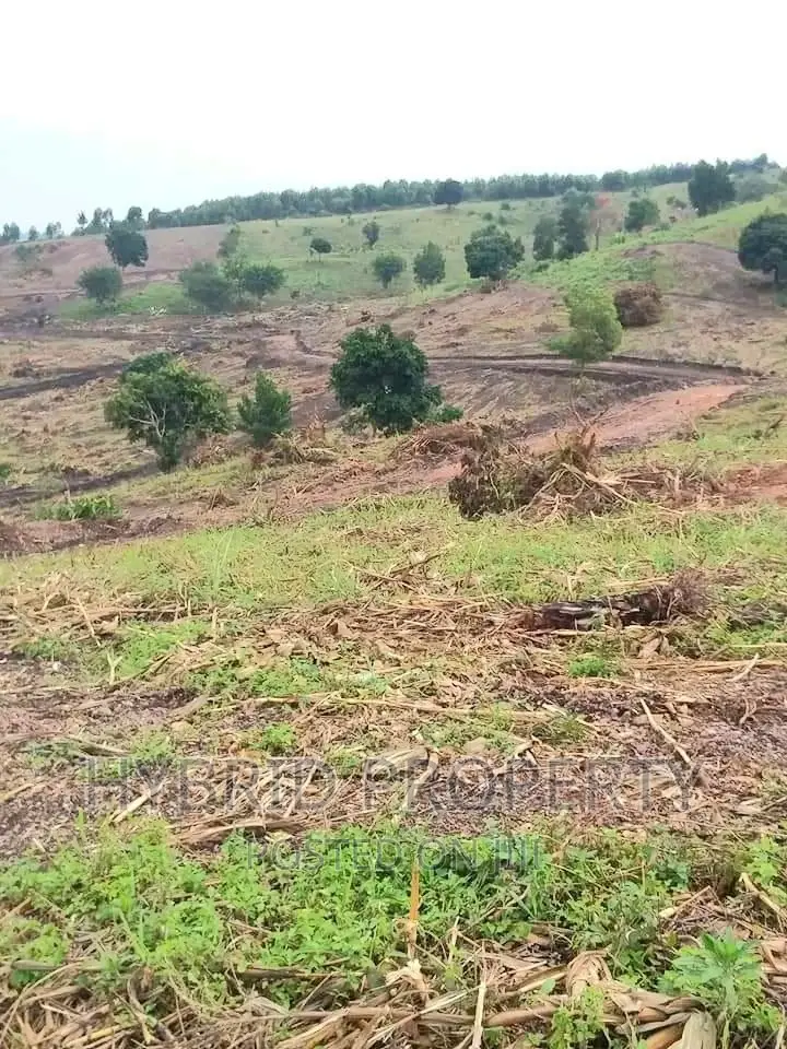 Prime Plots for at Namayumba~Naguru Land Estate~Hoima Rd IV. in Namayumba