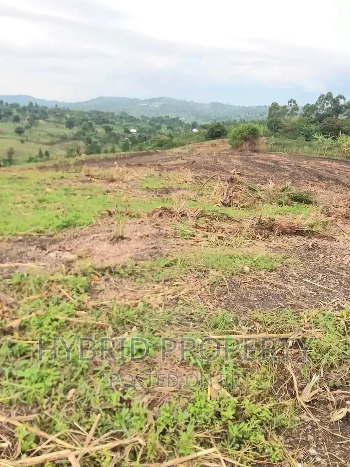 Prime Plots for at Namayumba~Naguru Land Estate~Hoima Rd IV. in Namayumba