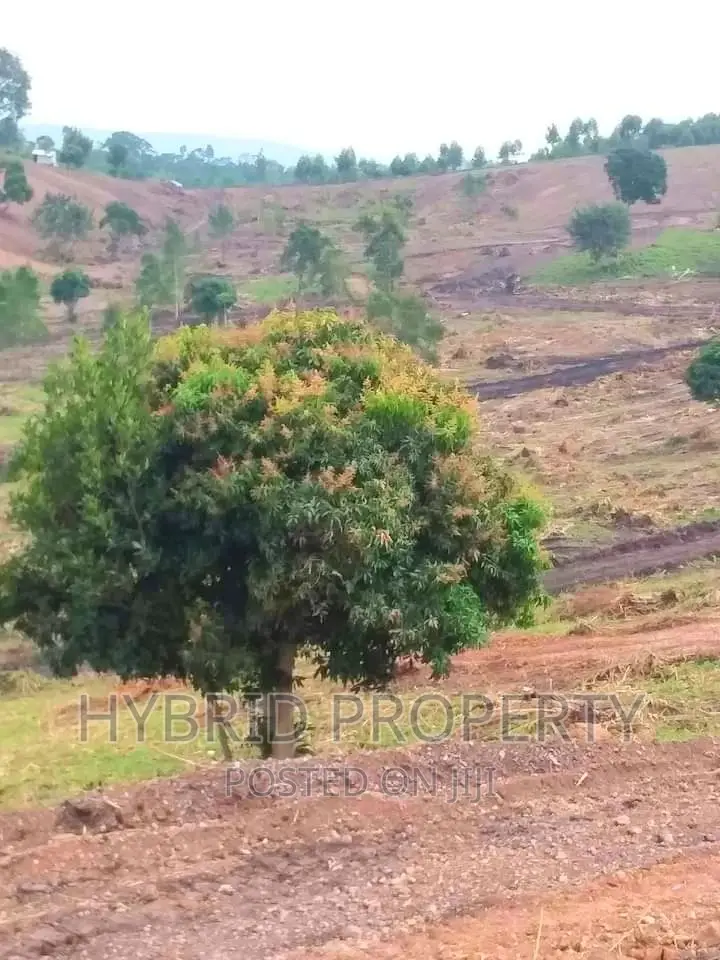 Prime Plots for at Namayumba~Naguru Land Estate~Hoima Rd IV. in Namayumba