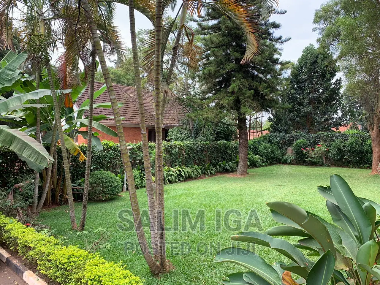 4bdrm Bungalow in Kololo Property, Central Division for rent in Central Division