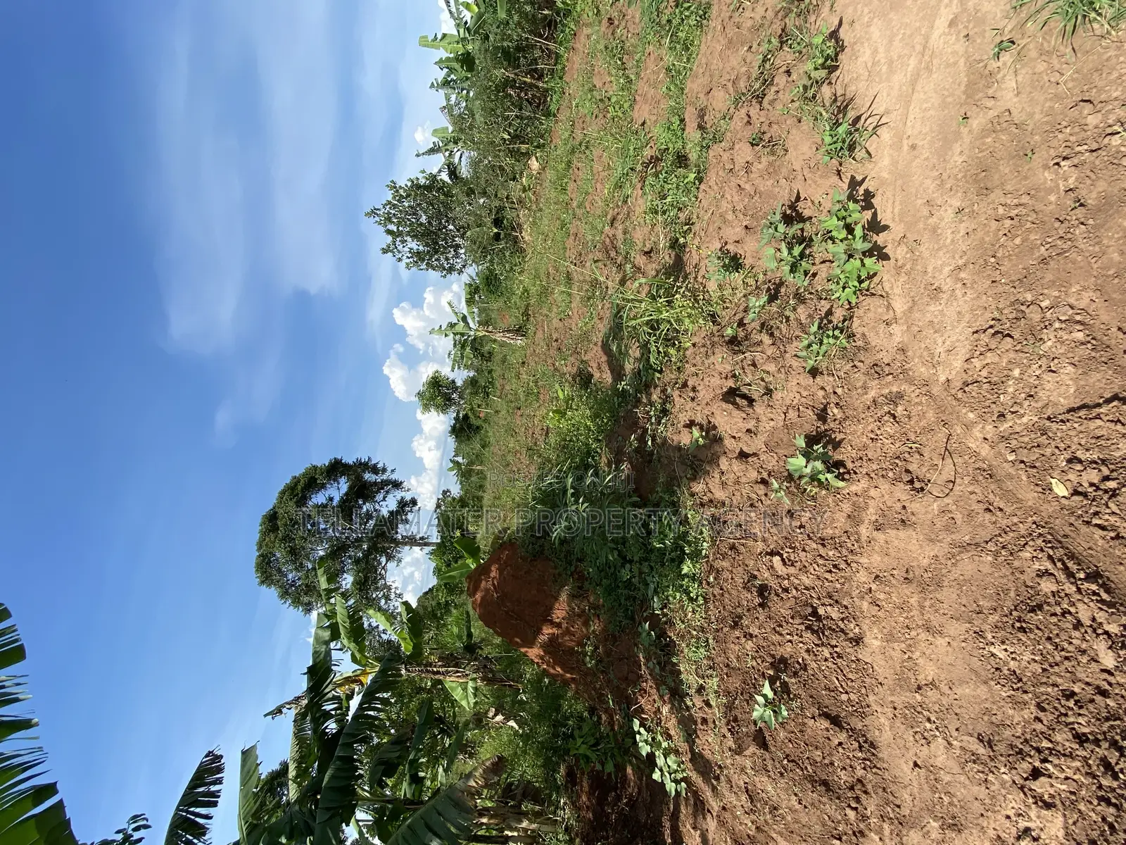 50*100ft Private Mailo Plot for Sale at Nakifuma-Kakinzi in Kyampisi