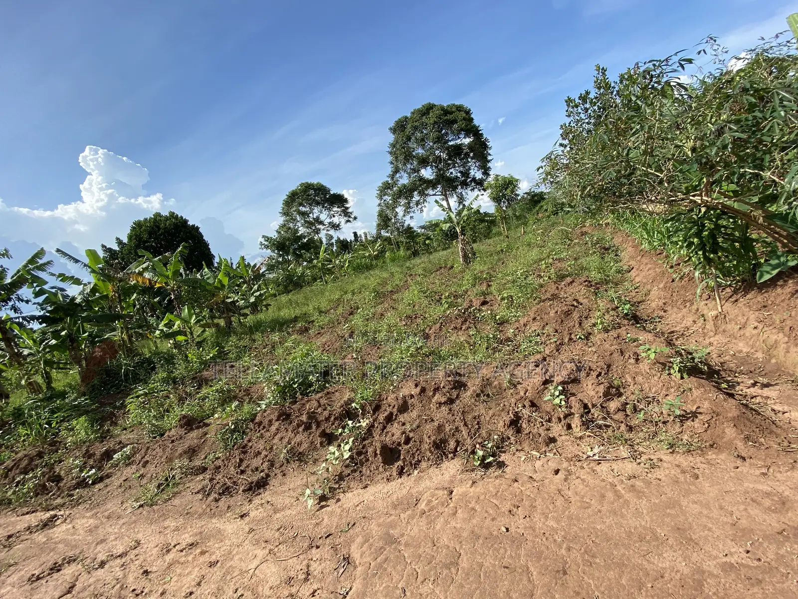 50*100ft Private Mailo Plot for Sale at Nakifuma-Kakinzi in Kyampisi