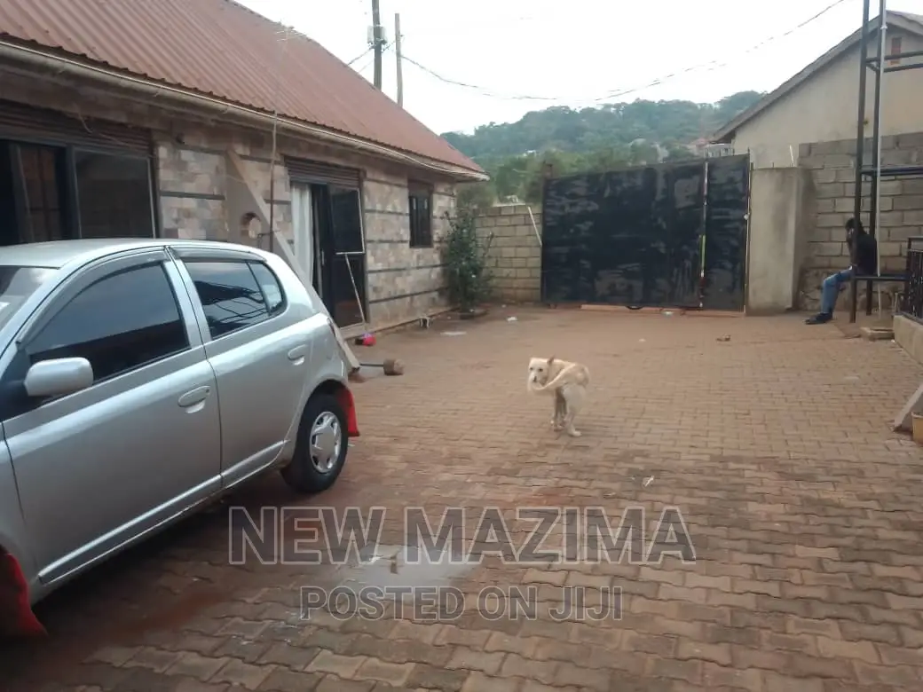 1bdrm House in Makindye Heights, Central Division for rent in Central Division