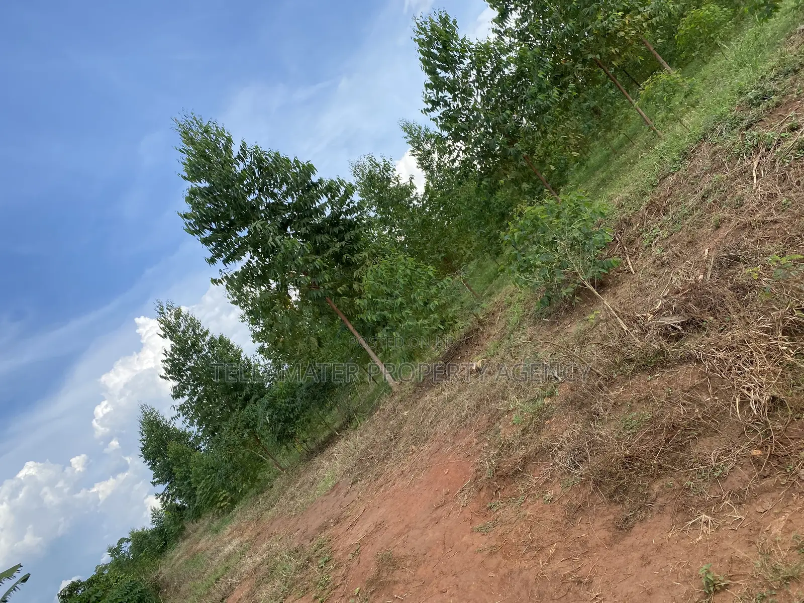 Cheap Mailo Plots With Ready Titles for Sale at Nakifuma in Kyampisi