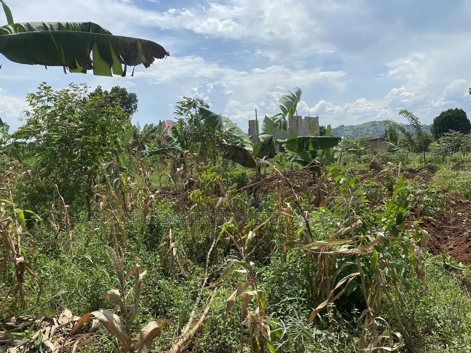 Cheap Mailo Plots With Ready Titles for Sale at Nakifuma in Kyampisi