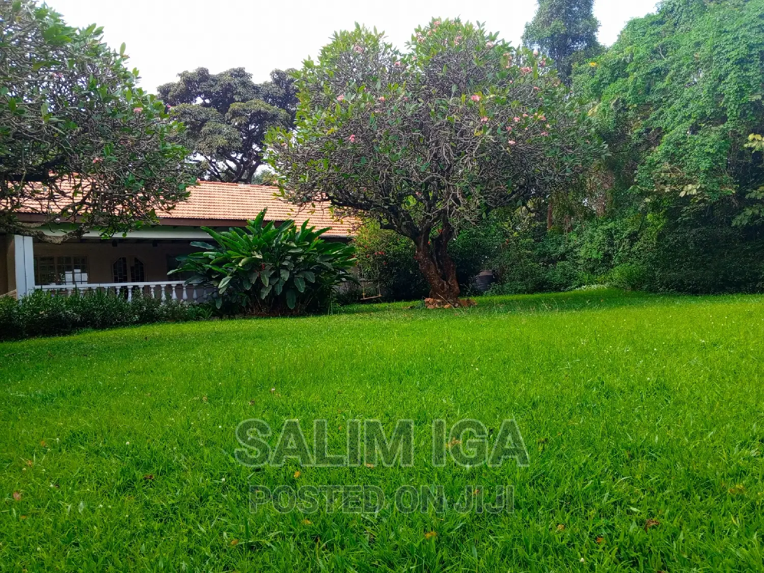 4bdrm Bungalow in Kololo Property, Central Division for rent in Central Division