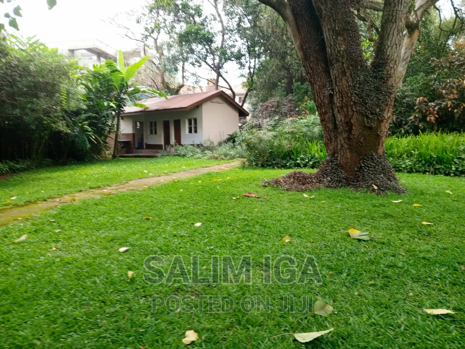 4bdrm Bungalow in Kololo Property, Central Division for rent in Central Division