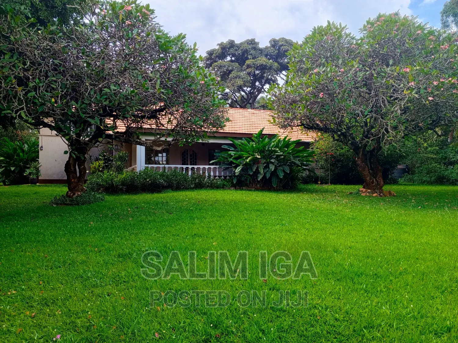 4bdrm Bungalow in Kololo Property, Central Division for rent in Central Division