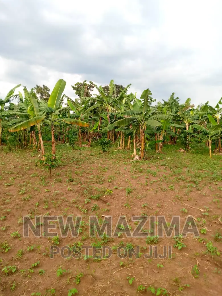 13 Acres on Forcedsale Heart of Bombo Kalure Starting on Rd in Central Division