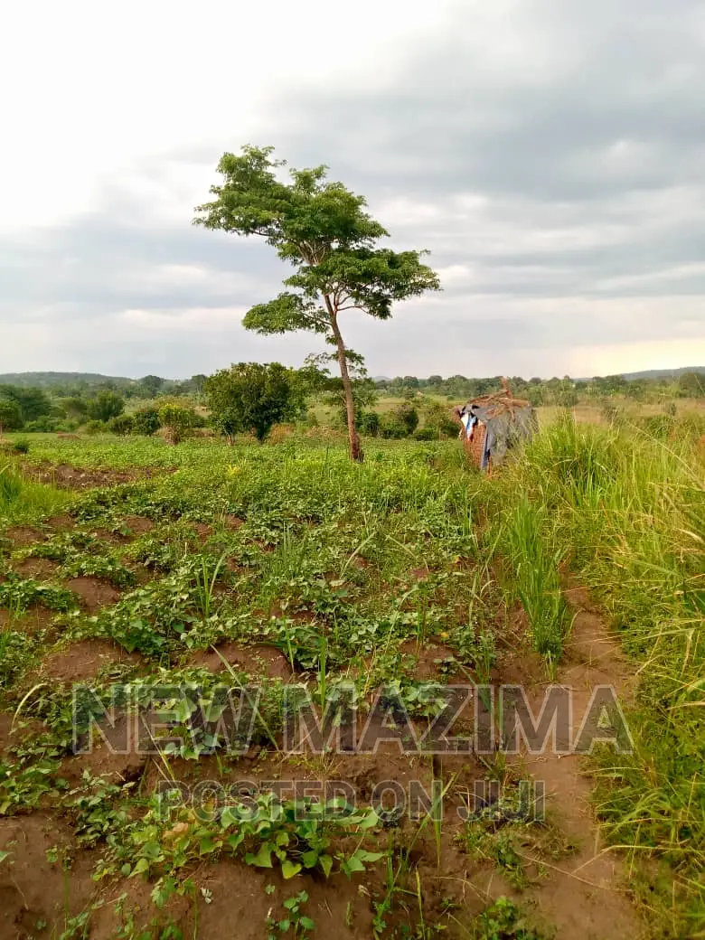 13 Acres on Forcedsale Heart of Bombo Kalure Starting on Rd in Central Division