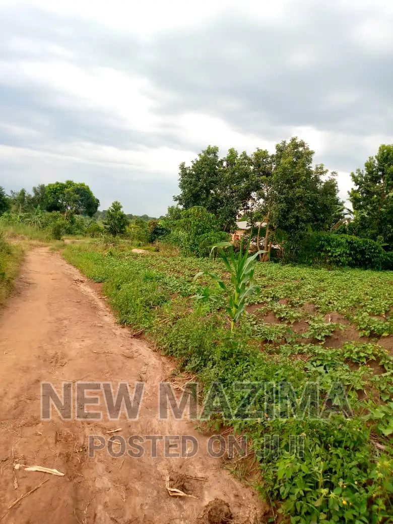 13 Acres on Forcedsale Heart of Bombo Kalure Starting on Rd in Central Division