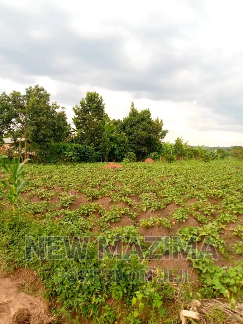 13 Acres on Forcedsale Heart of Bombo Kalure Starting on Rd in Central Division