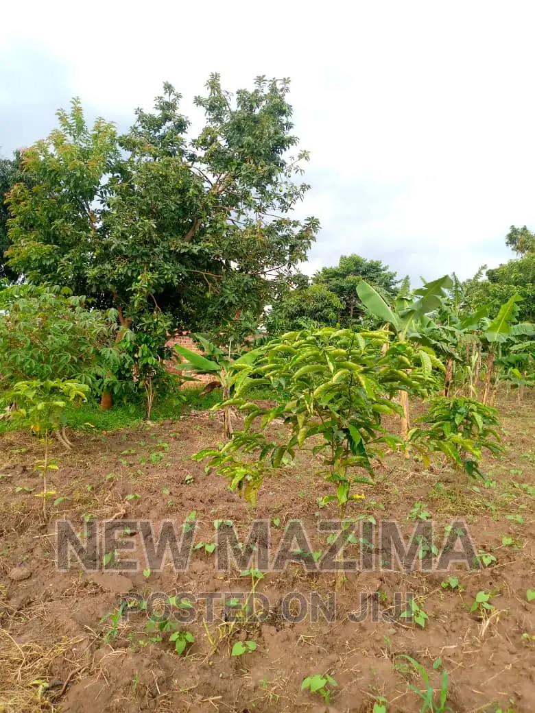 13 Acres on Forcedsale Heart of Bombo Kalure Starting on Rd in Central Division
