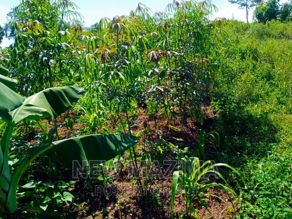 Affordable Private Mile Land Titled Plot Onsale Matuga Gombe in Central Division
