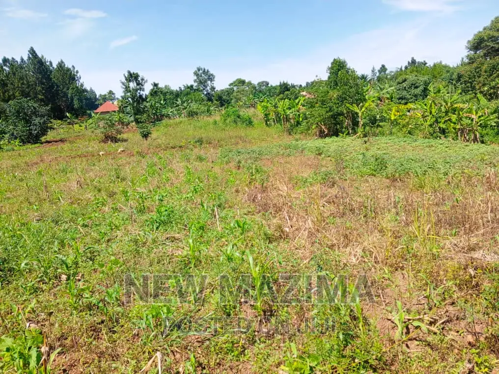 Affordable Private Mile Land Titled Plot Onsale Matuga Gombe in Central Division