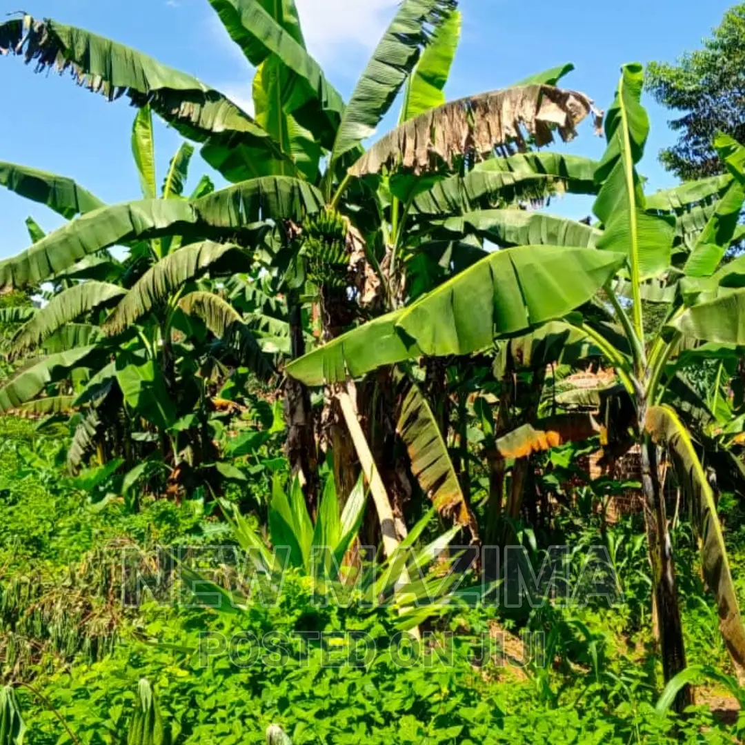 Affordable Private Mile Land Titled Plot Onsale Matuga Gombe in Central Division