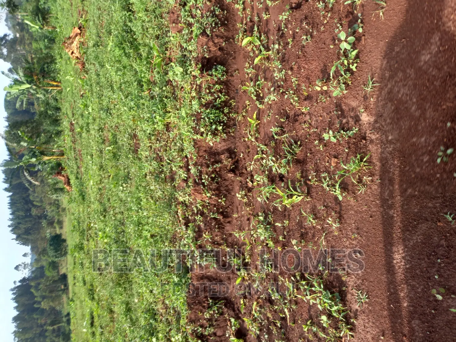 Gayaza Affordable Plots for Sell in Kira
