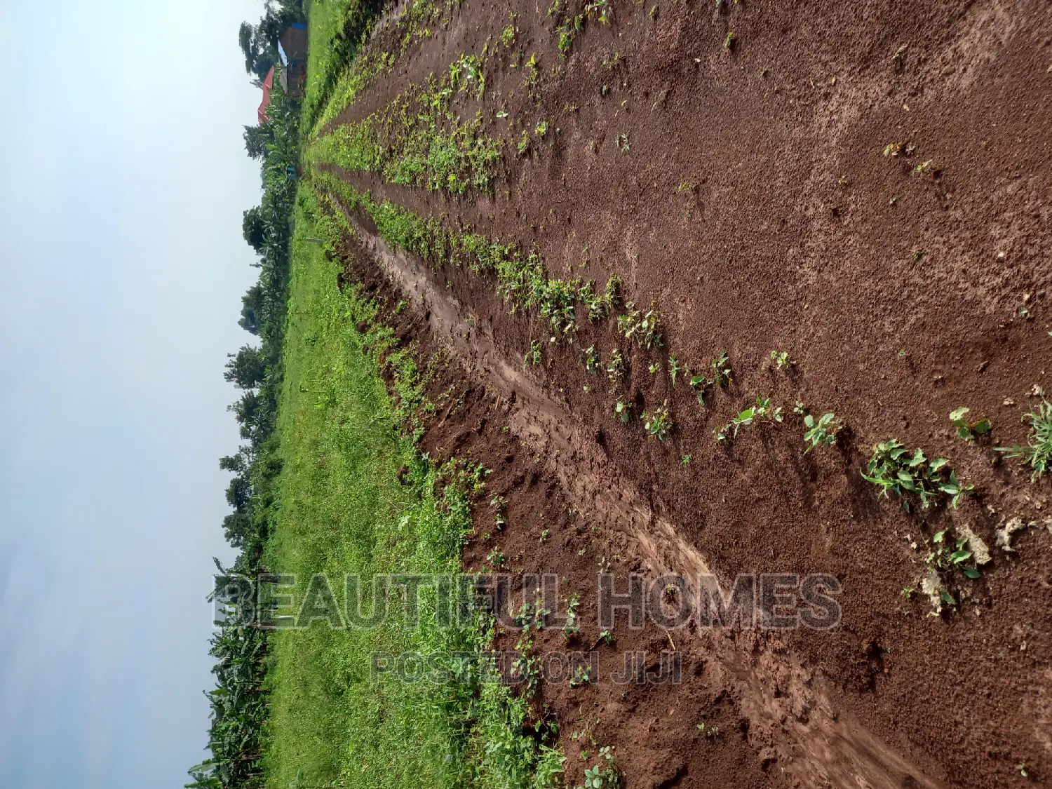 Gayaza Nakasajja Land on Sale in Division A