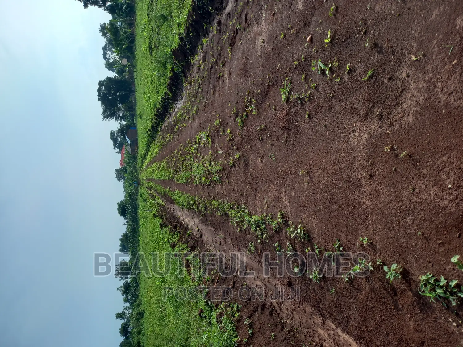 Gayaza Nakasajja Land on Sale in Division A
