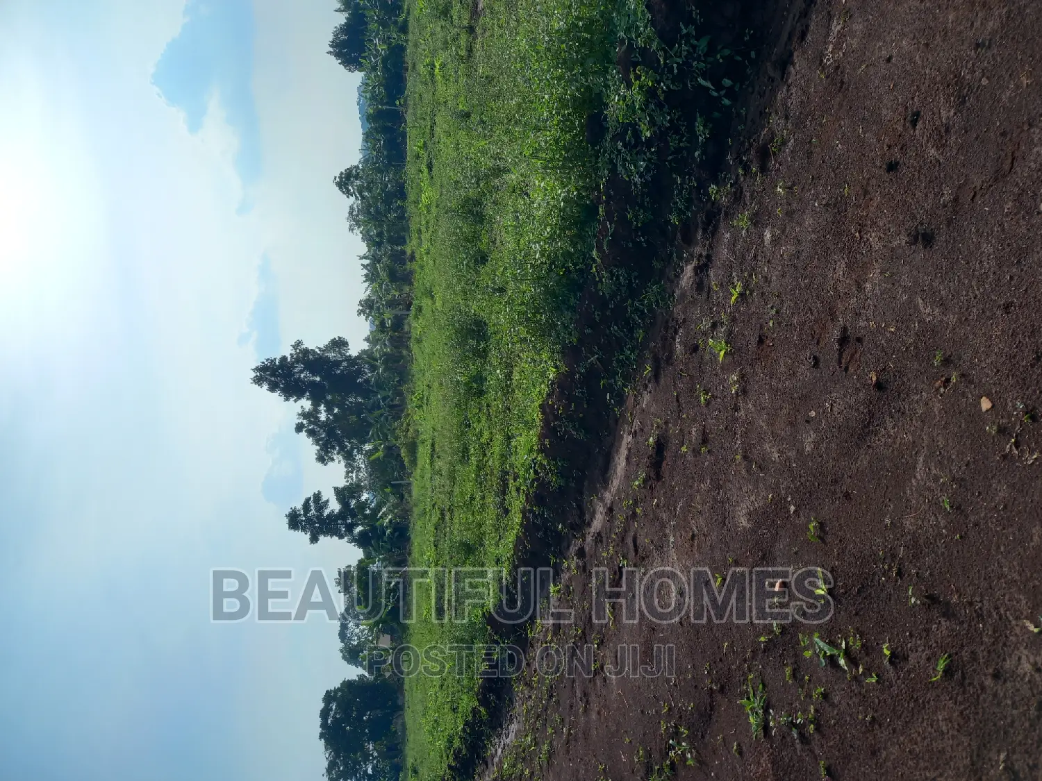 Gayaza Nakasajja Plots for Sell in Division A