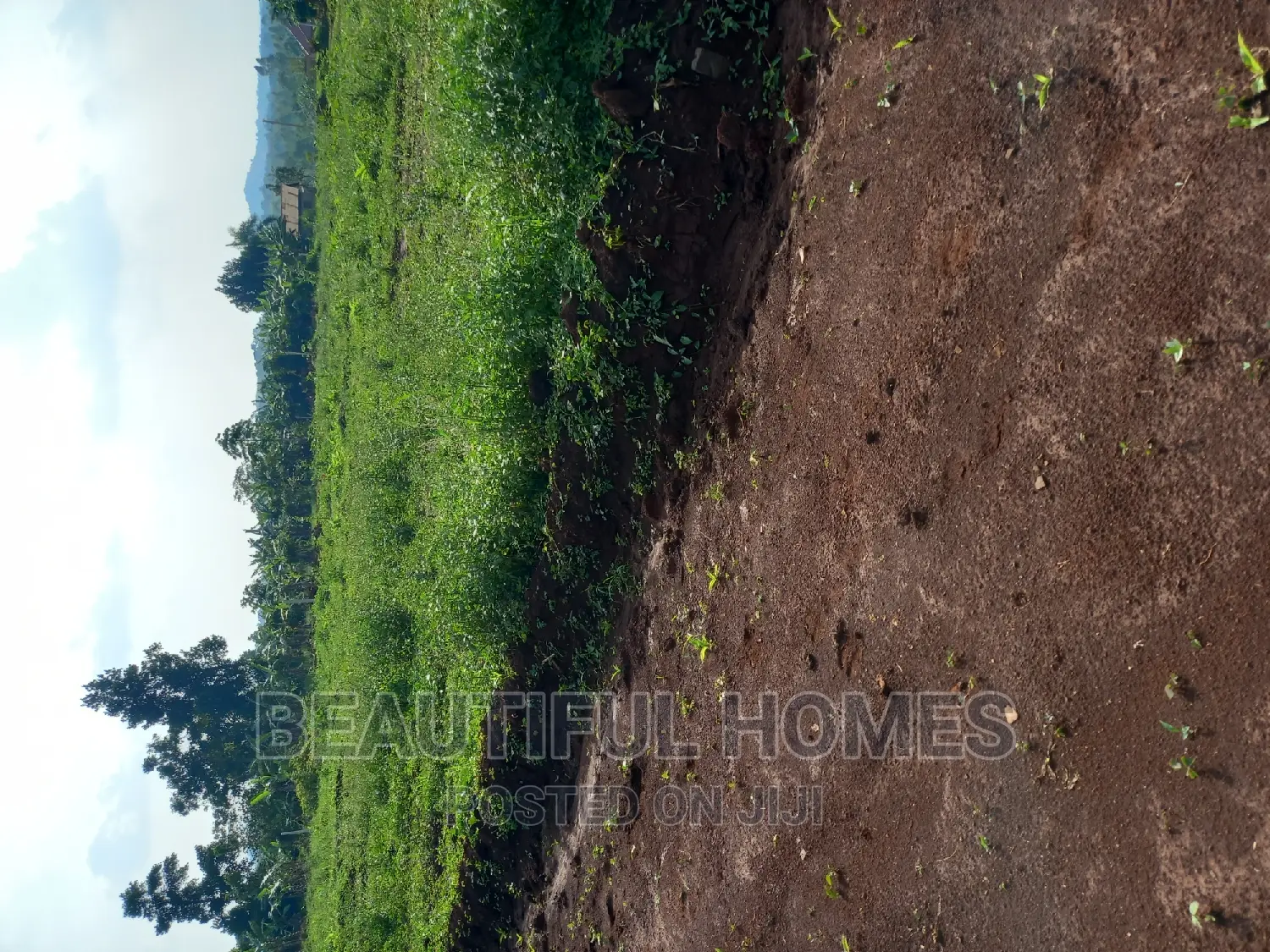 Gayaza Nakasajja Plots for Sell in Division A