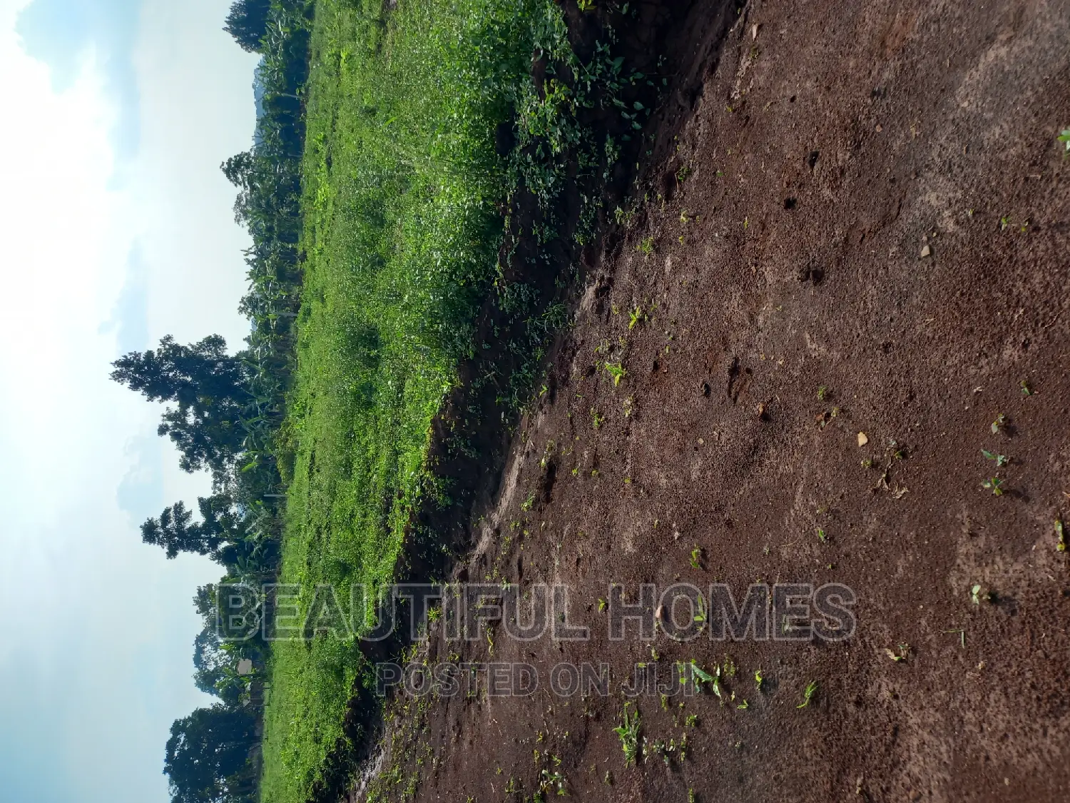 Gayaza Beautiful Land on Sale in Division A