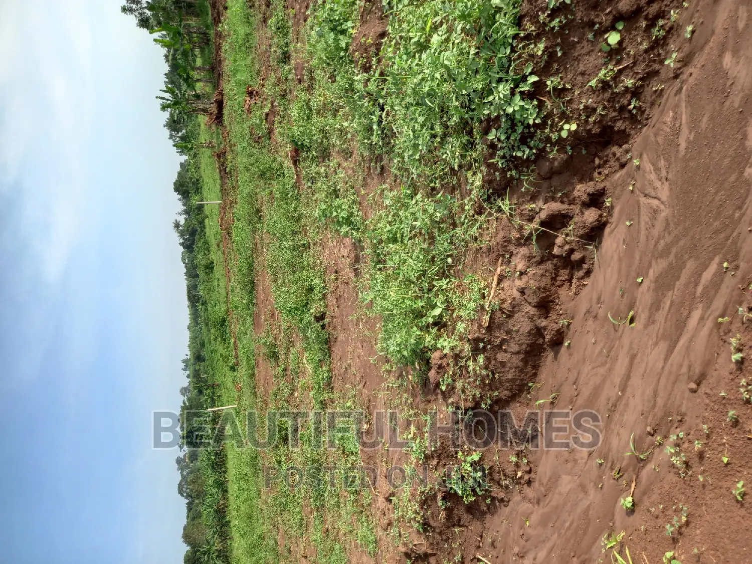 Gayaza Nakasajja Residential Use Land on Sell in Division A