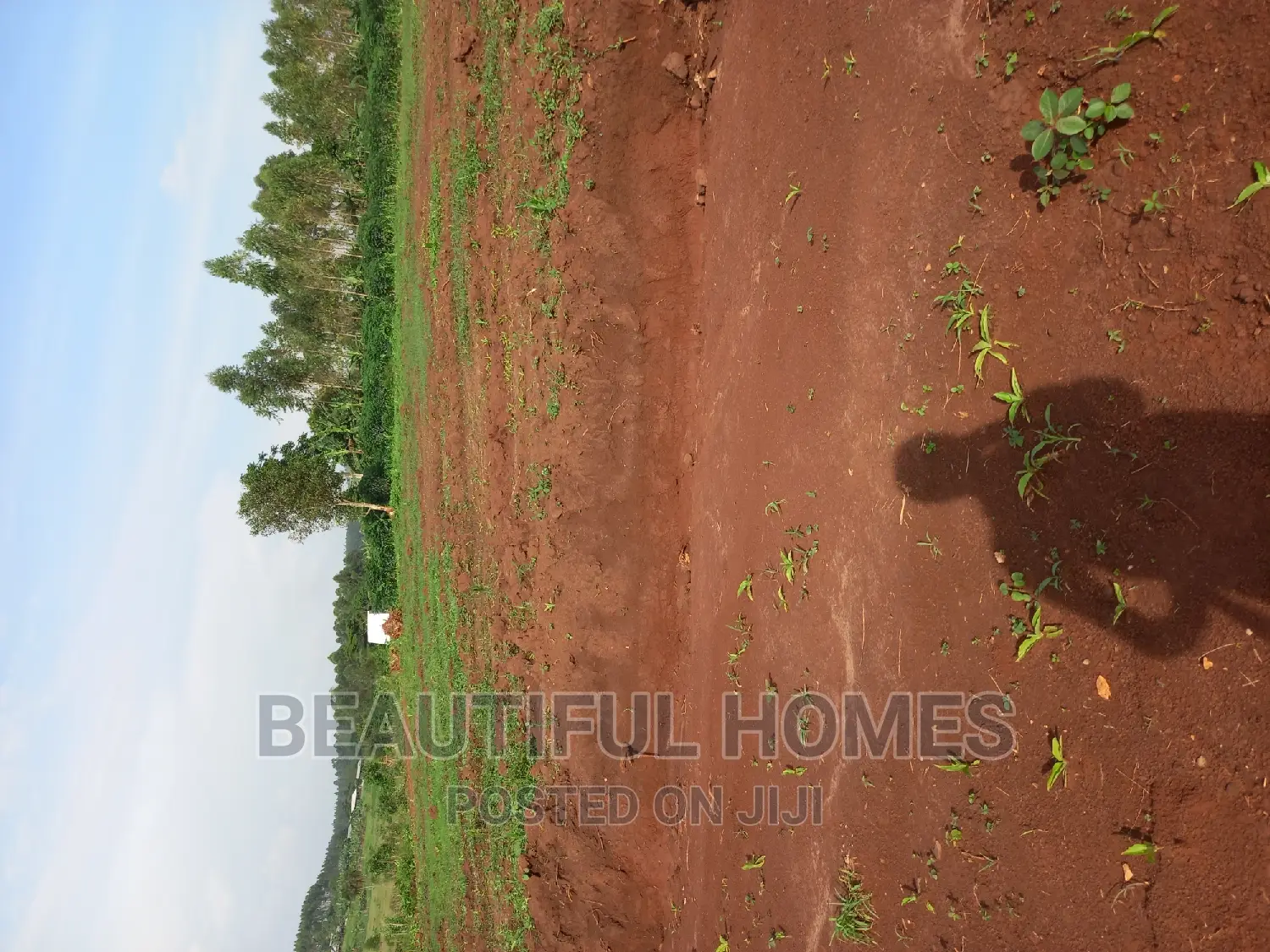 Gayaza Nakasajja Great Offers on These Plots in Division A
