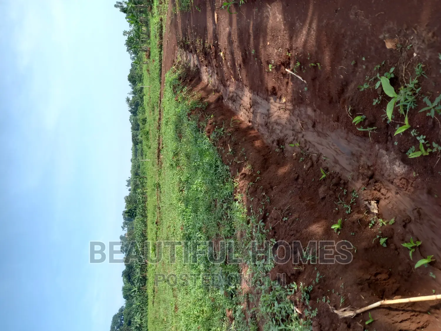 Gayaza Nakasajja Estate Plots for Quicksell in Division A
