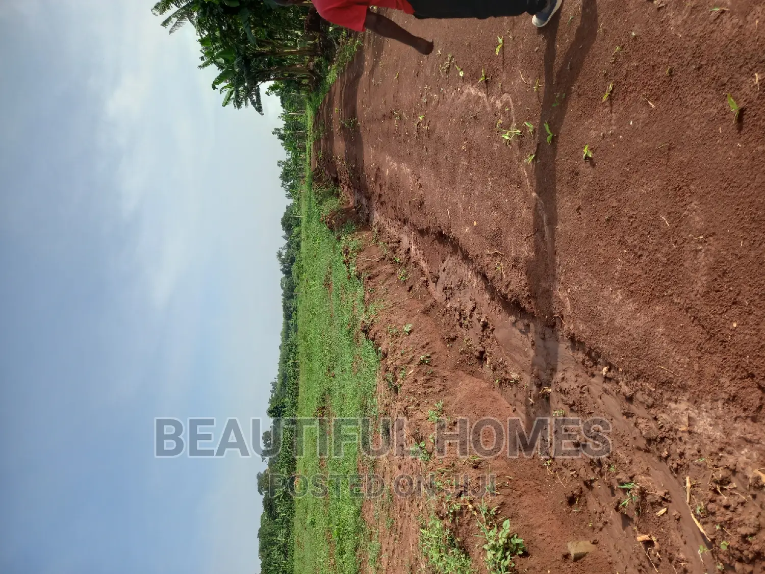 Gayaza Nakasajja Estate Plots for Quicksell in Division A