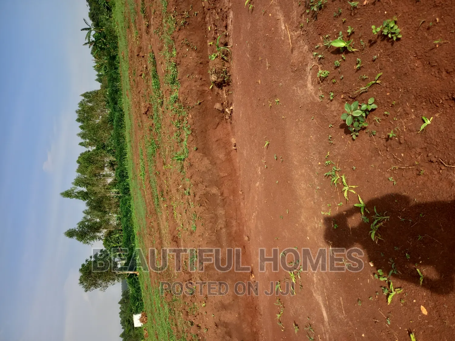 Gayaza Nakasajja Estate Plots for Quicksell in Division A