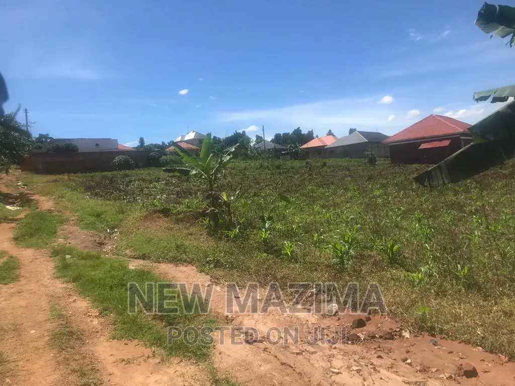 Very Beautiful Two Plots Quicksale in Heart of Nsangi Maya in Division A