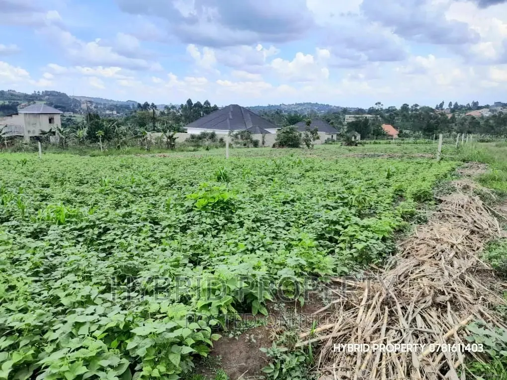 Prime Plots for Sale at Wakiso~Bugwanya Along Hoima Road II. in Wakiso / Wakiso