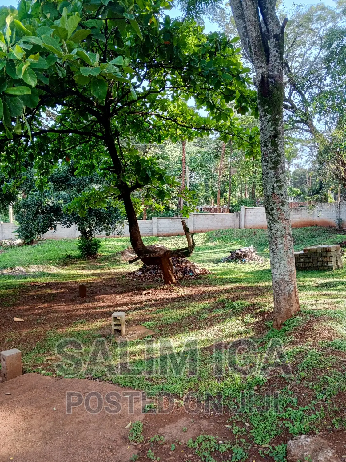 7bdrm Apartment in Kololo Property, Central Division for rent in Central Division