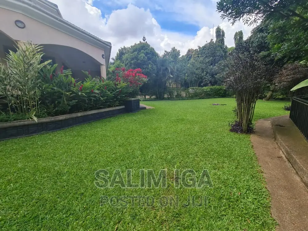 4bdrm Duplex in Kololo Property, Central Division for rent in Central Division