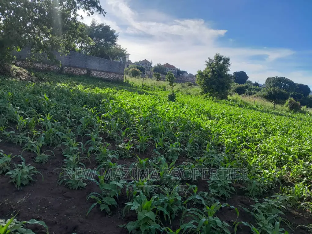 25decimal With Clear Lake View Sale Heart of Kajjansi Bweya in Central Division