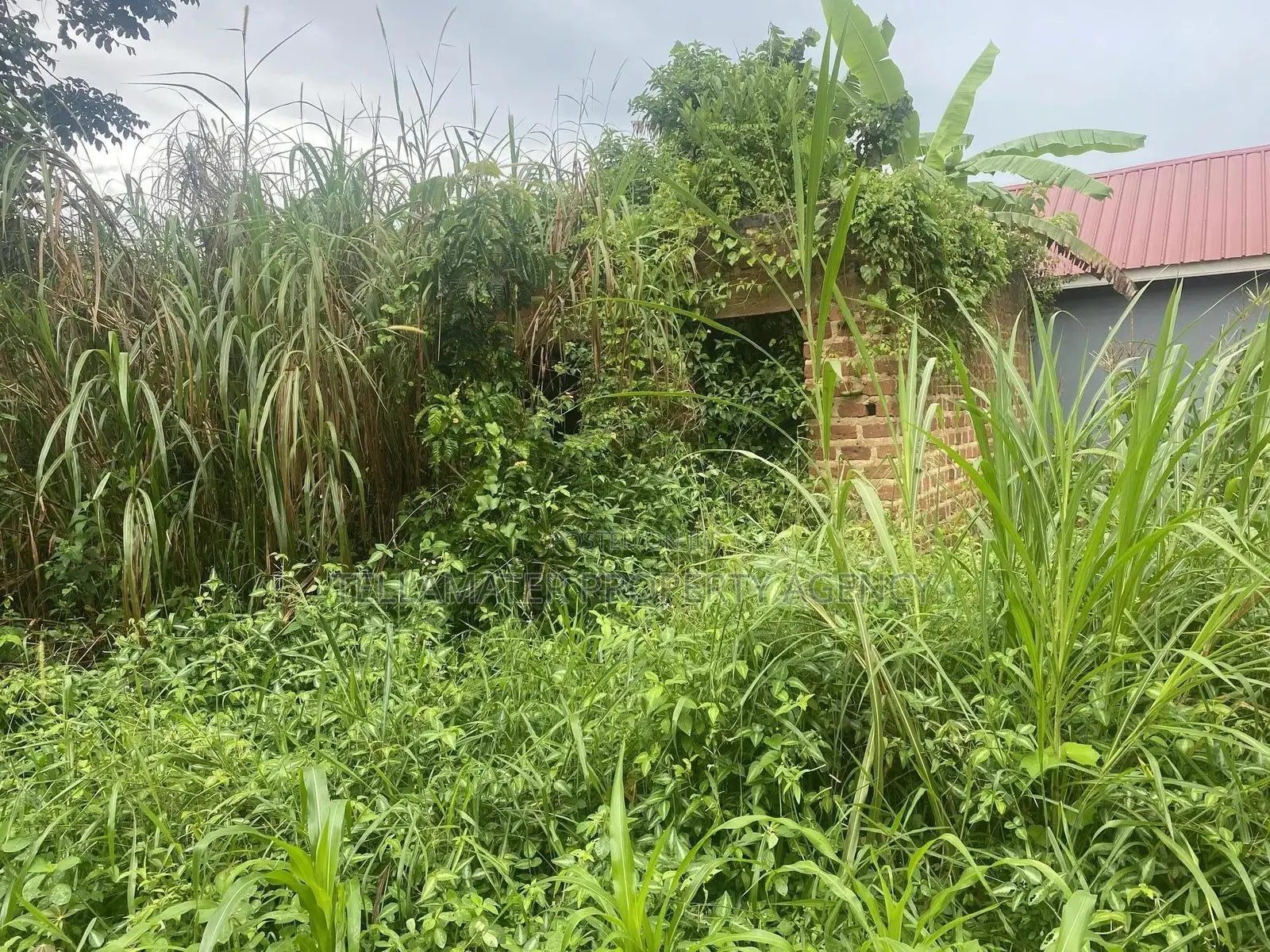 Plot With Rooms/Hostels for Sale at Ku Main Branch Luweero in Luwero / Luwero
