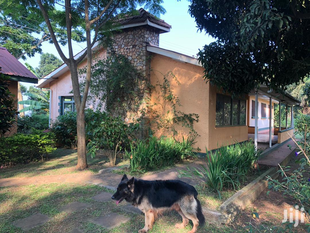 Three Bedroom Bungalow in Makindye for Rent in Kampala