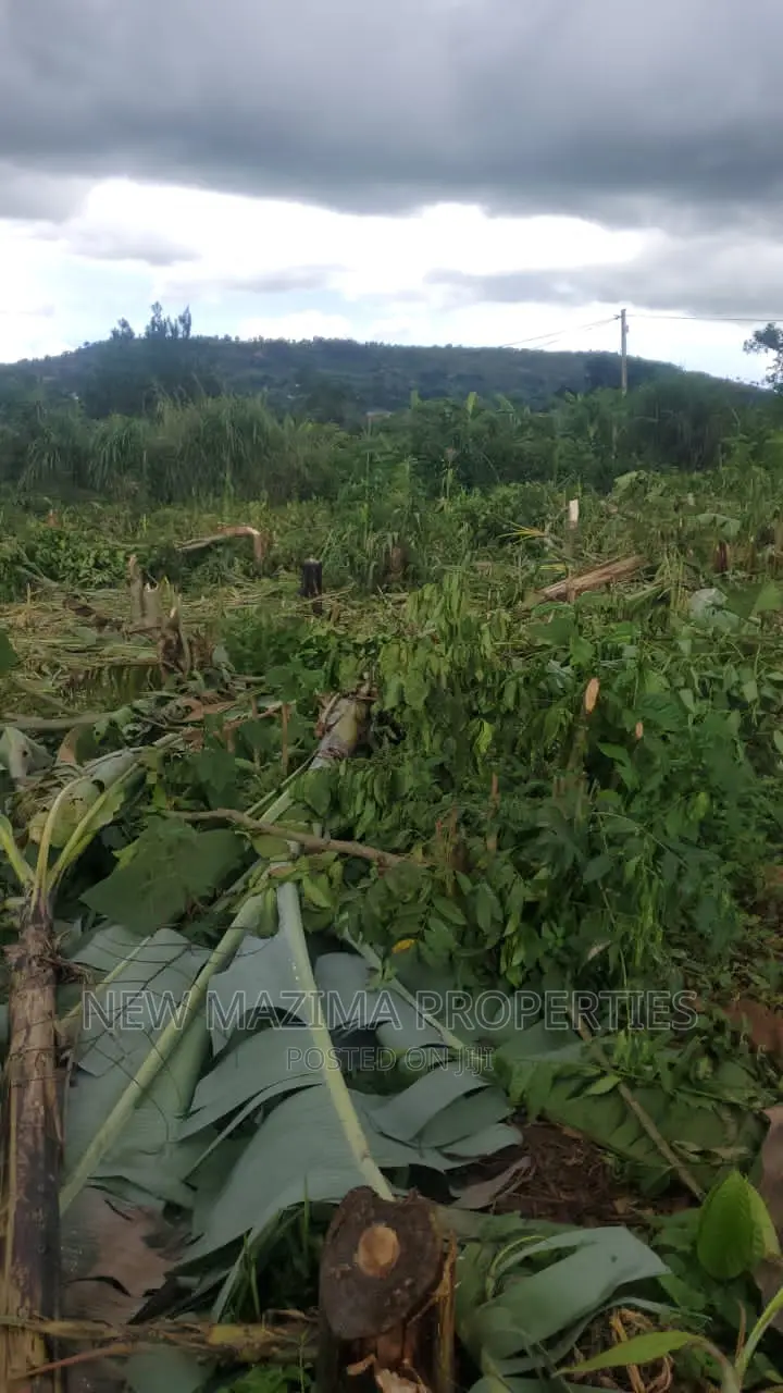 Affordable 100ft X 50 Ft Plots Onquicksale Heart of Katende in Central Division