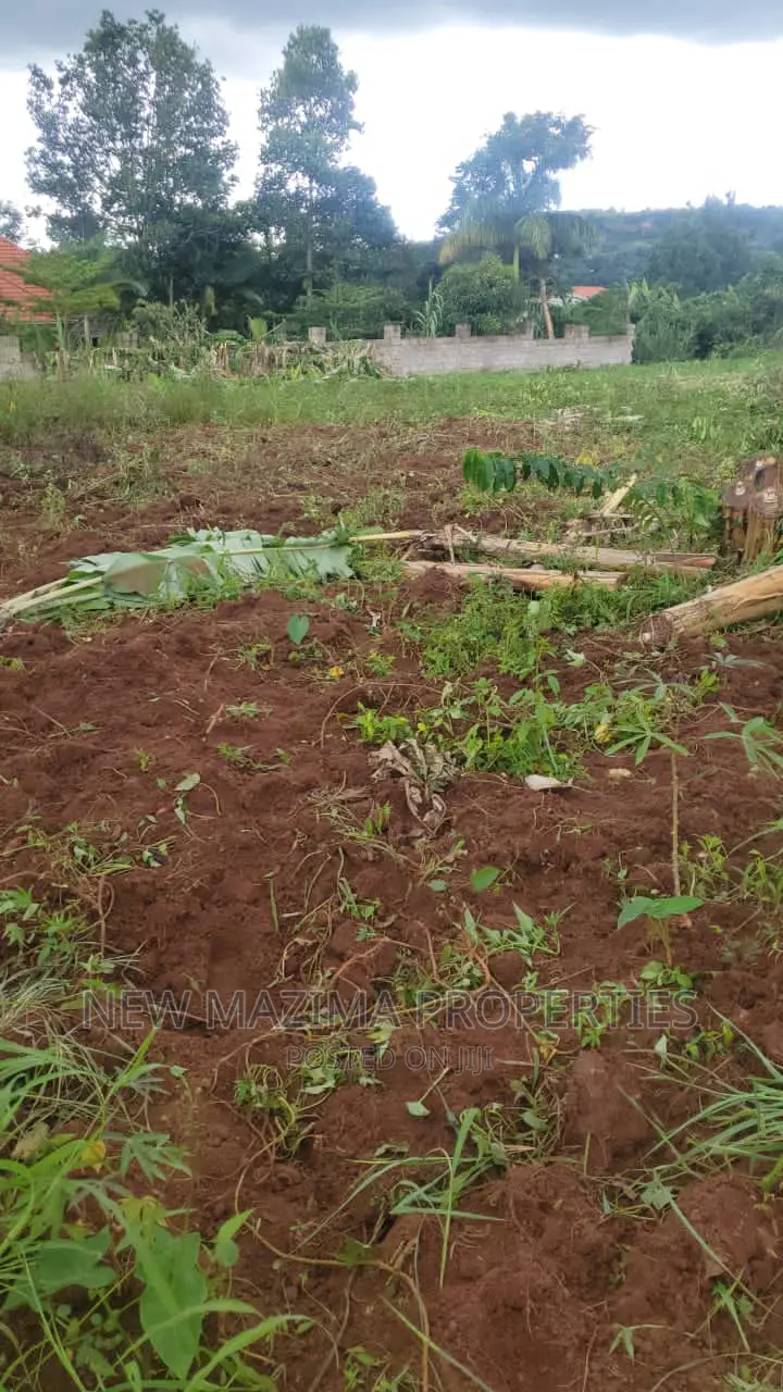 Affordable 100ft X 50 Ft Plots Onquicksale Heart of Katende in Central Division