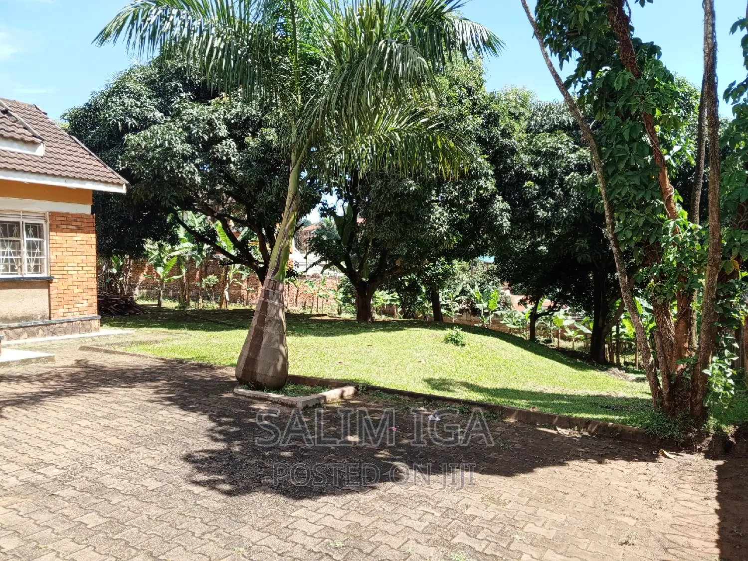 3bdrm Bungalow in Kololo Property, Central Division for rent in Central Division